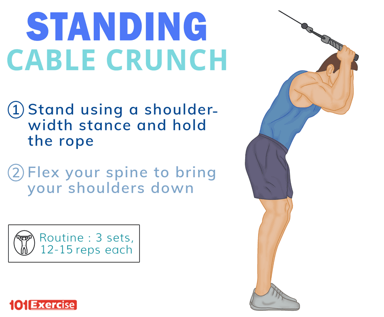 Standing Cable Crunch: What is it, How to do, Oblique Form ...