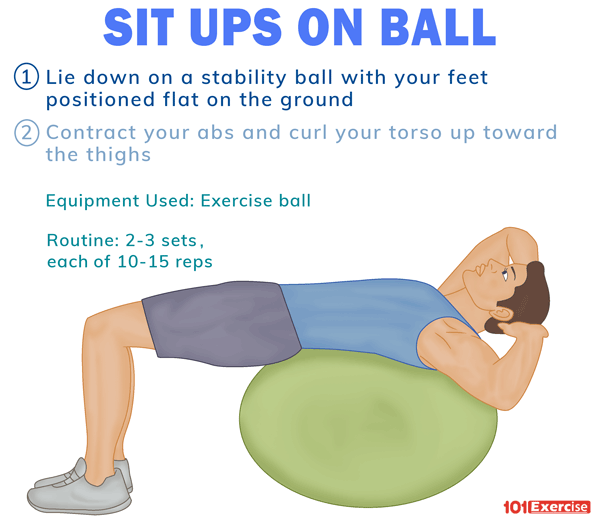 Sit-Ups on Ball | 101Exercise.com