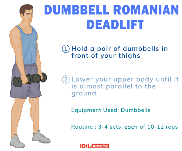 How to do Dumbbell Romanian Deadlift with Tips | 101Exercise.com
