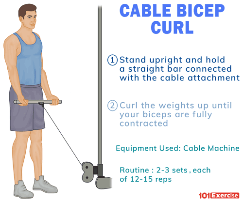 Cable Bicep Curl