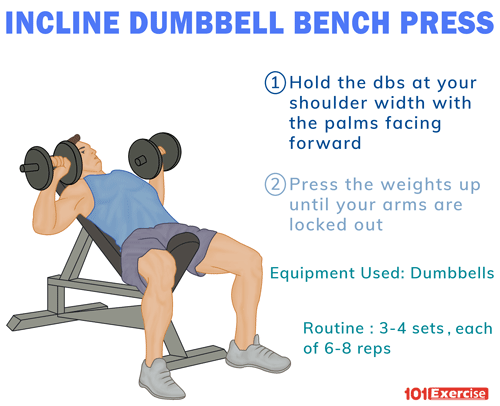 Incline dumbbell press on a stability ball exercise instructions and video
