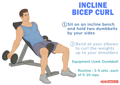 Curl connect. Incline Dumbbell Curl. Bench bicrpt Curls. Incline DB Powerbombs. Basic Curls exercise.