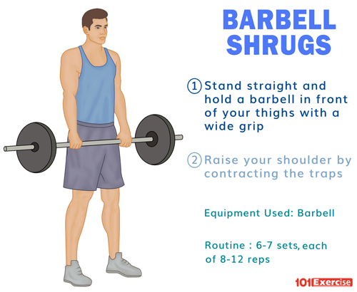 Barbell Shrugs How To Do Benefits Muscles Worked