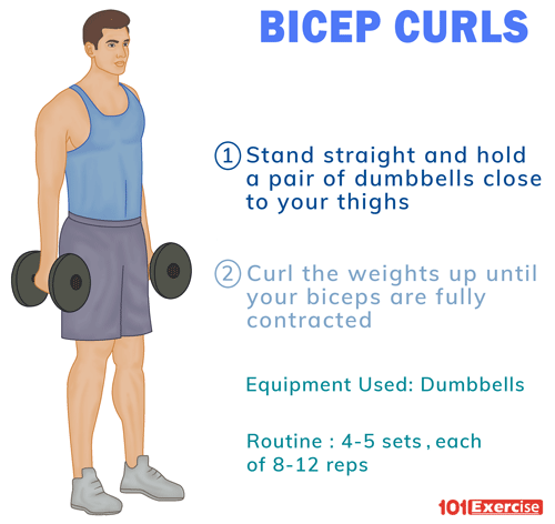 Barbell Curl vs Dumbbell Curl for Bicep Growth 1