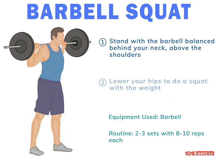 Barbell Squats Muscles Used